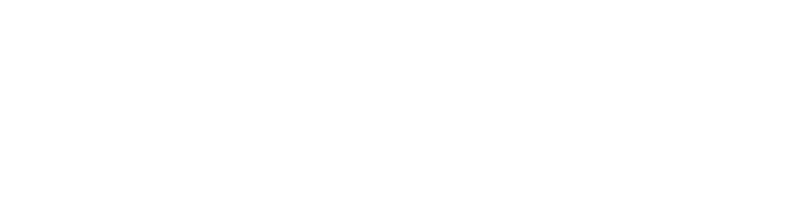 NetPulse Network Operations Platform